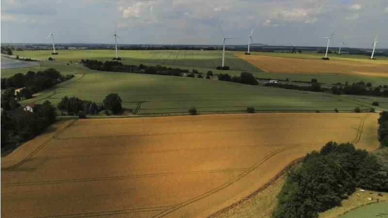 Landwirt Löffler 7 Panorama Felder Nicollschwitz 2